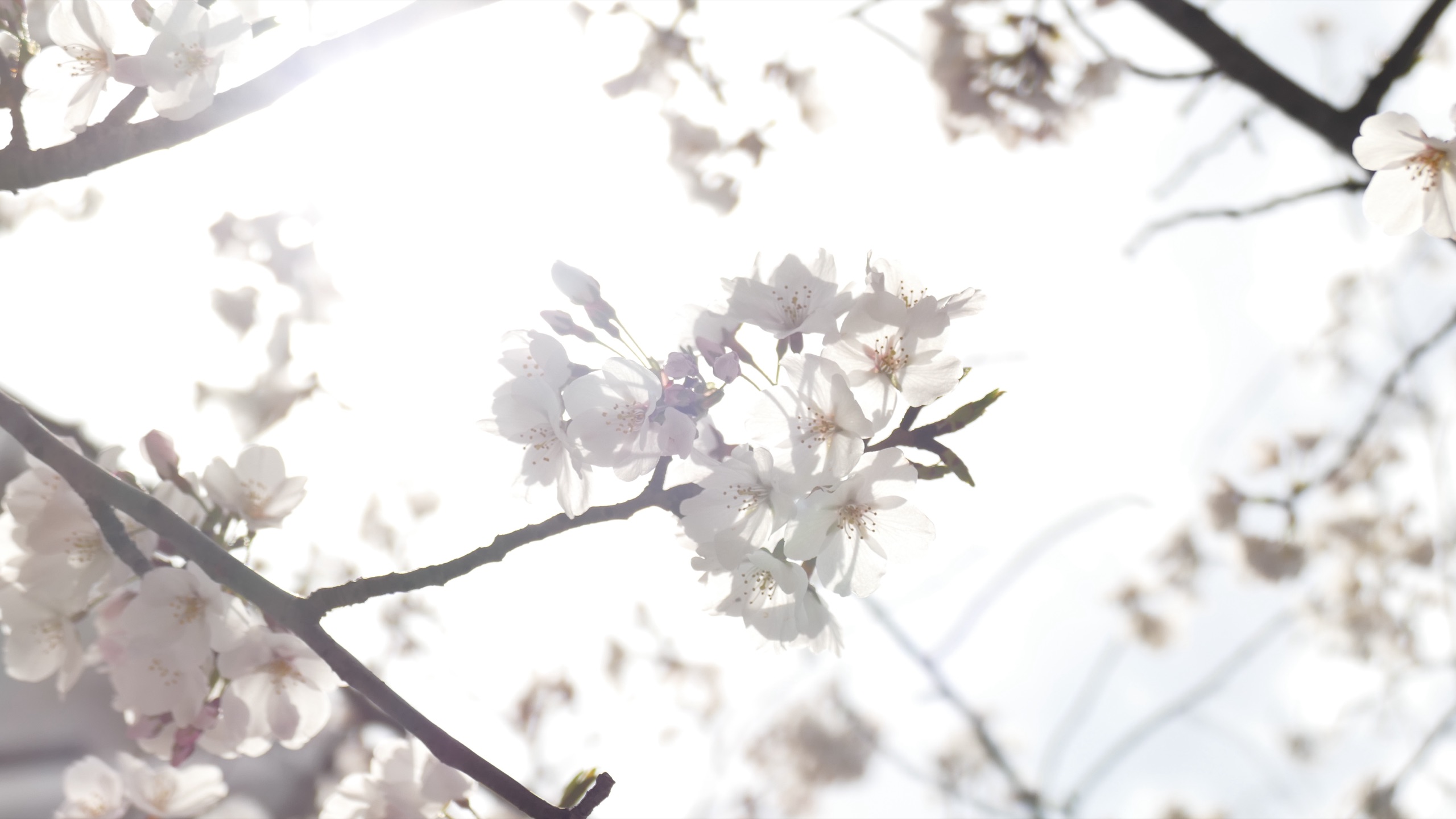Travel photography by my yuxi